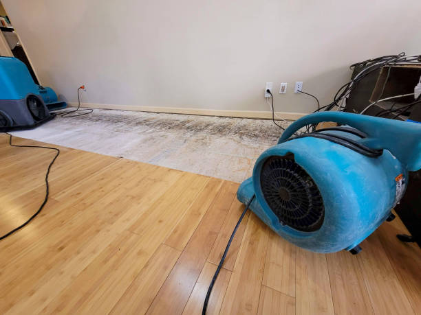 Professional Structural Drying technician working in Palmersville, TN